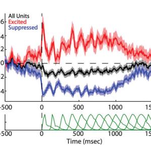Multiple processes of vocal sensory-motor interaction in primate auditory cortex