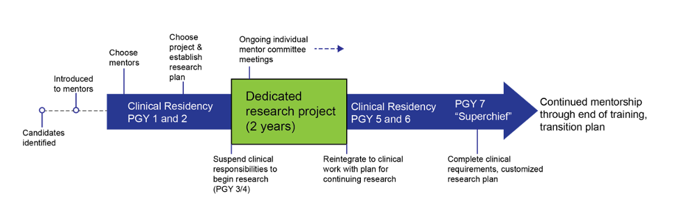 Otolaryngology Residency Program Timeline