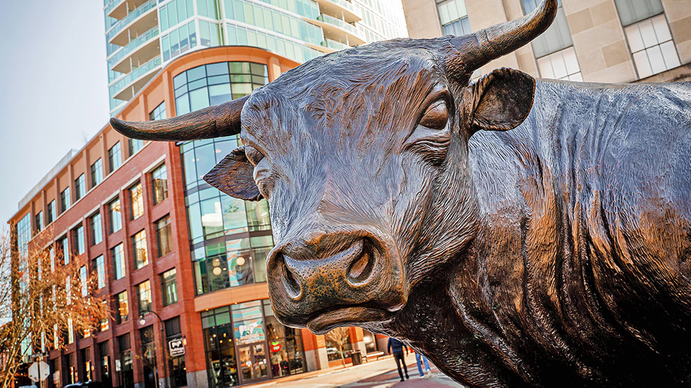 Bull statue in downtown Durham