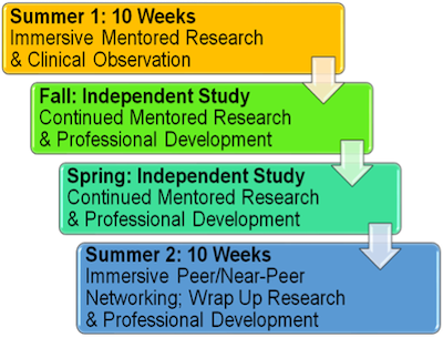 Flowchart of a year-long research and development mentorship program.