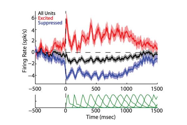 Multiple processes of vocal sensory-motor interaction in primate auditory cortex