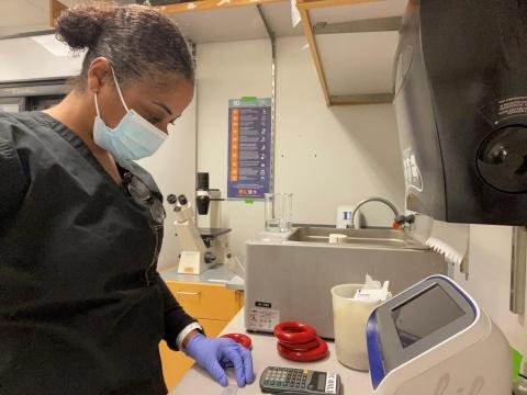 Dr. Tammara Watts in the lab