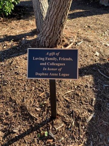 Daphne Logue Tree Memorial