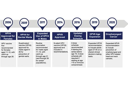 Fig. 1. Timeline of major ACIP guideline updates for the HPV vaccine (2006–2019): key changes in recommendations, dosing schedules, and age expansions for HPV vaccination.