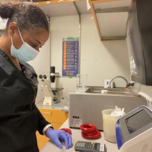 Dr. Tammara Watts in the lab