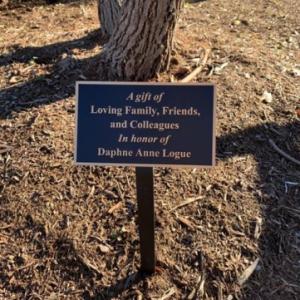 Daphne Logue Tree Memorial