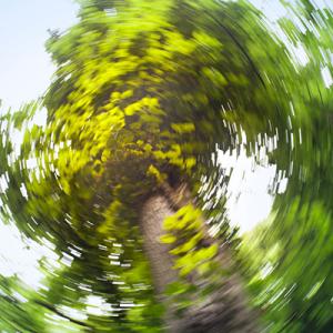 Image of a pathway but distorted to represent symptoms of vertigo 